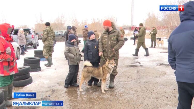 Җитез һәм хуҗаларына булыша торган хайваннар