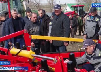 Республикада кыр эшләре кыза