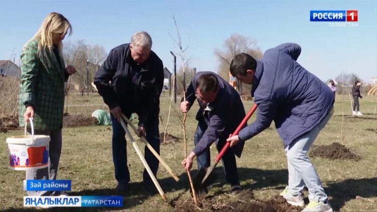 Зәйдә “Педагоглар аллеясы” барлыкка килде