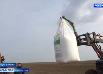 Язгы кыр эшләре дәвам итә