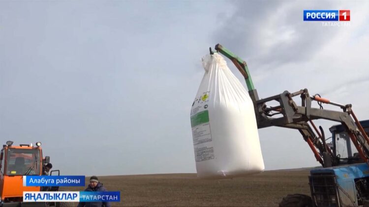 Язгы кыр эшләре дәвам итә