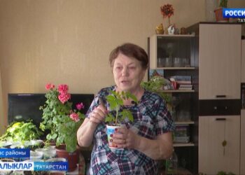 Эшкә бирсәң чын күңел…