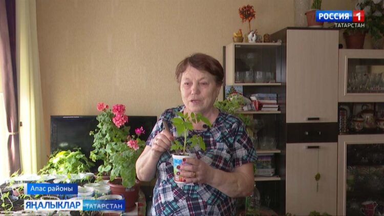 Эшкә бирсәң чын күңел…