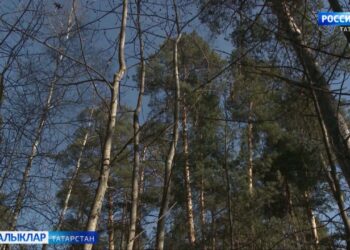 Республикада  атна дәвамында җылы булыр дип көтелә