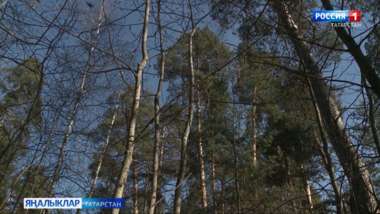 Республикада атна дәвамында җылы булыр дип көтелә