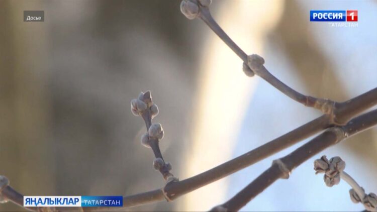 17 апрель көнне Татарстанда алмашынучан болытлы һава