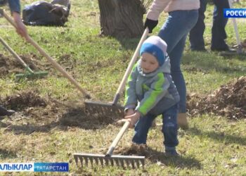 Гомумшәһәр шимбә өмәсенә әзерләнәбез