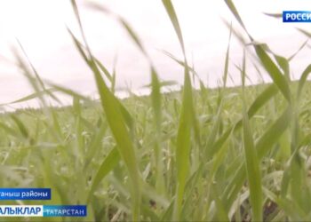 Язгы көн ел туйдыра