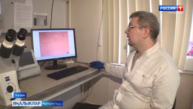 Ясалма балык ите