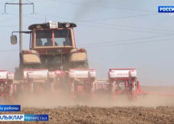 Кырларда эшнең кызган чагы