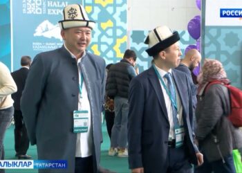 Кунаклар көтәбез