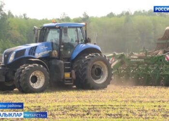 Ютазы районындаязгы культураларны яңадан чәчүгә керештеләр