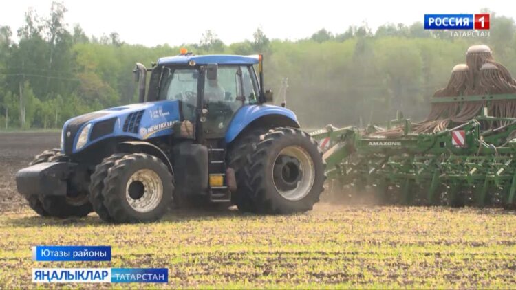 Ютазы районындаязгы культураларны яңадан чәчүгә керештеләр