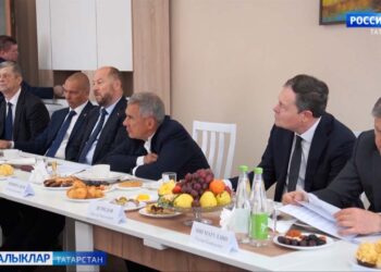 Рөстәм Миңнеханов Ватан сугышчылары гаиләләре комитетының төбәк штабы активы белән очрашты