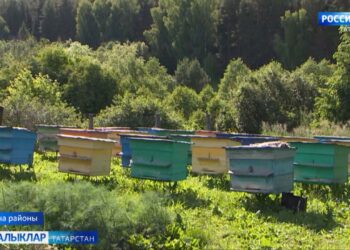 Умартачы судта аграрийларны җиңеп чыкты