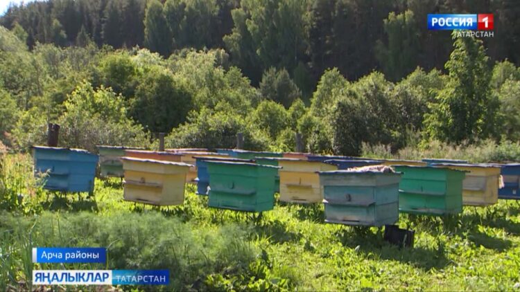 Умартачы судта аграрийларны җиңеп чыкты