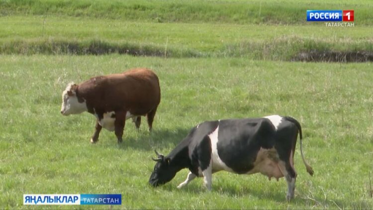 Эше барның – ашы бар