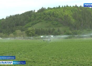 «Авыл сулышы» сәхифәсе