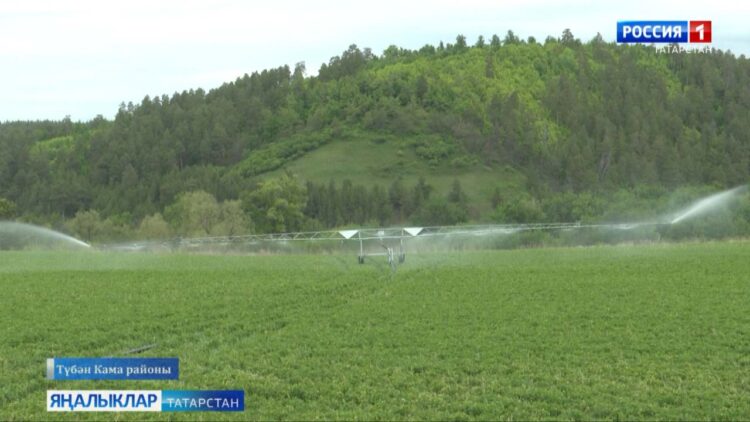 «Авыл сулышы» сәхифәсе