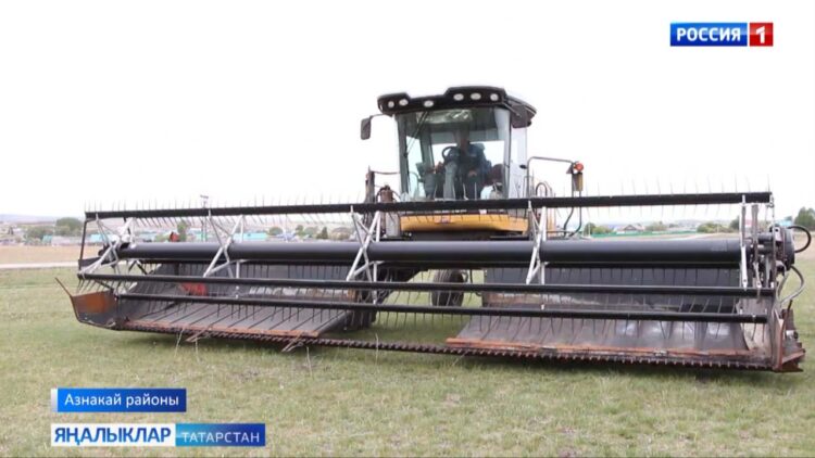 Азнакайда карабодай чəчүгə дə керешəлəр