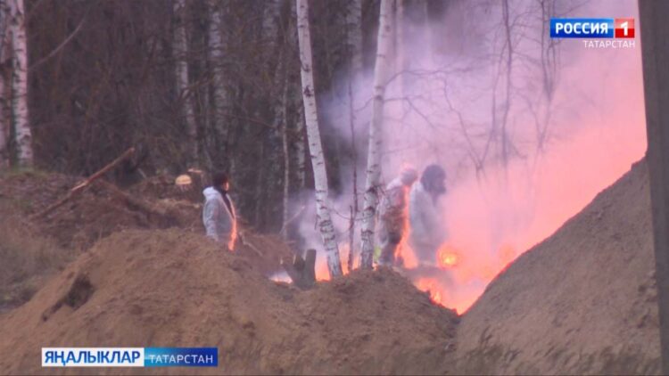 Татарстан территориясендә кош гриппы кабынуы куркынычы югары