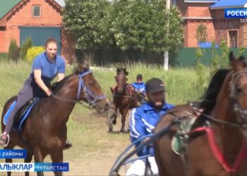 Атлар да Сабантуй җиткәнен сизә