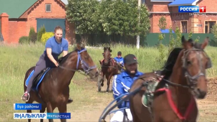 Атлар да Сабантуй җиткәнен сизә