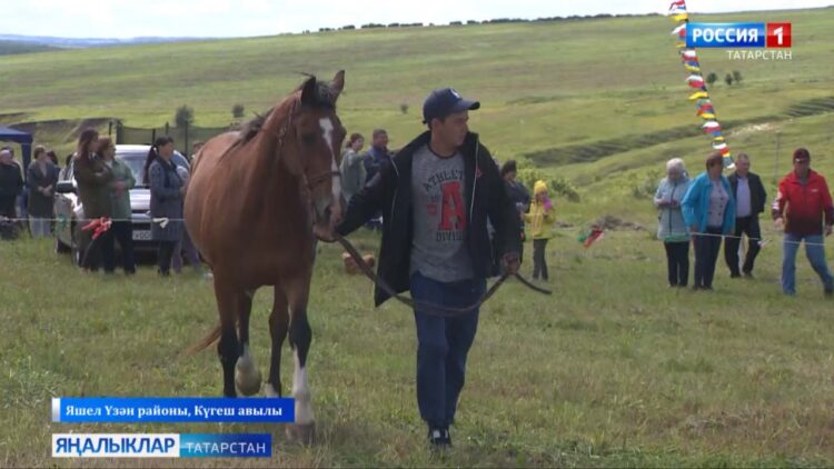 Яшел Үзән районы Күгеш авылында узган Сабан туе мизгелләре
