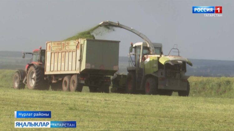 Иртә язның әҗере