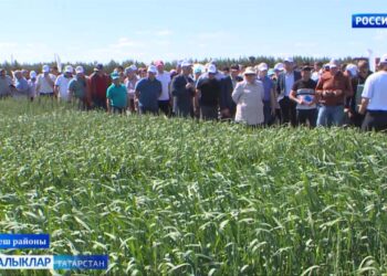 «Авыл сулышы» сәхифәсе