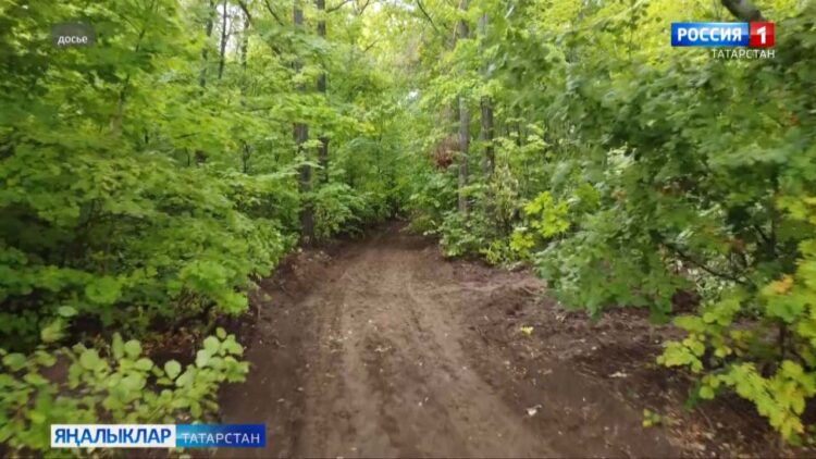 Шторм кисәтүе игълан ителде