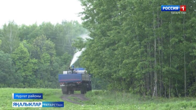 Урманнарга яңа афәт яный