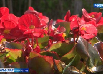 13 нче июнь көнне, алмашынучан болытлы һава, явым-төшемсез