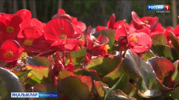 13 нче июнь көнне, алмашынучан болытлы һава, явым-төшемсез