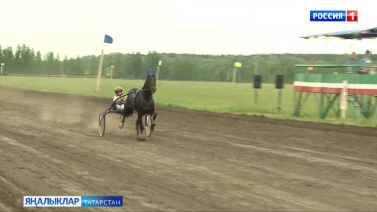 Бу ялларда республика район-авылларында халкыбызның милли бәйрәме Сабантуе уза
