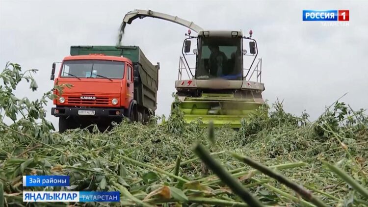 Авыл хуҗалыгында эшләрнең очы-кырые юк