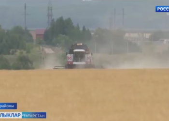 Зәйдә районда урып-җыю кампаниясе старт алды