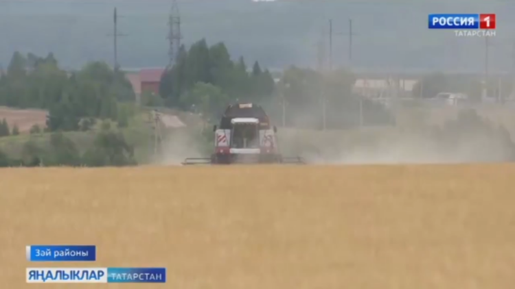 Зәйдә районда урып-җыю кампаниясе старт алды