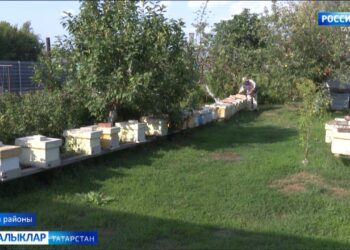 Күчеп йөри торган умарталык