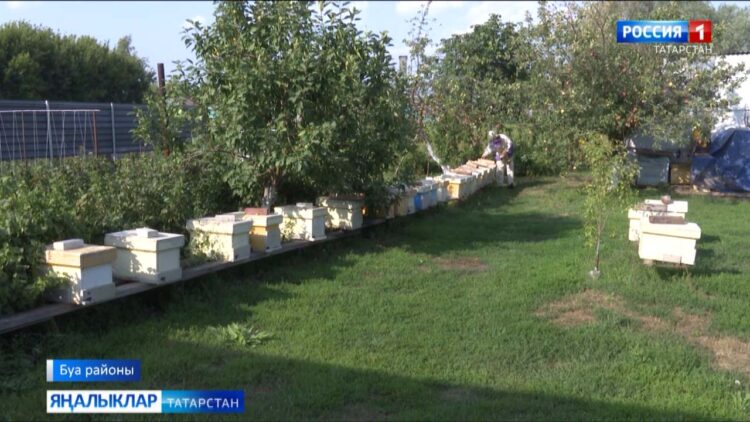 Күчеп йөри торган умарталык