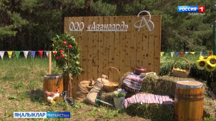 Сабантуйның төп геройлары – савымчылар һәм механизаторлар