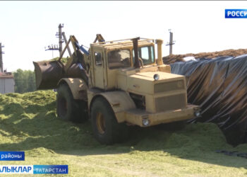 Күпьеллык үләннәрнең беренче пакосыннан 3,5 т сенаж хәзерләнгән