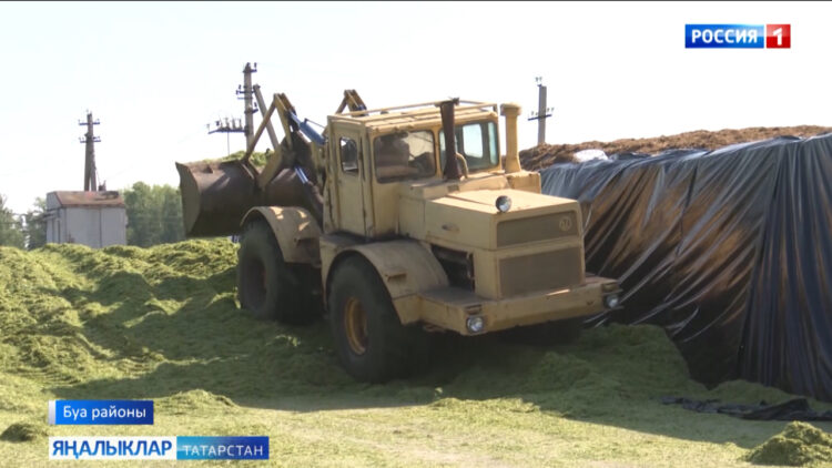 Күпьеллык үләннәрнең беренче пакосыннан 3,5 т сенаж хәзерләнгән