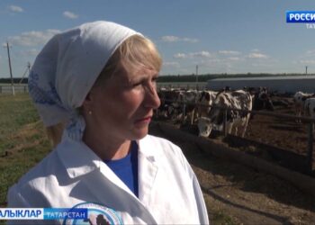 Авыл хуҗалыгында эшләүче хезмәткәрләр арасында һөнәри конкурс