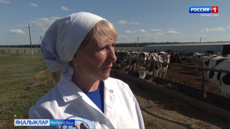 Авыл хуҗалыгында эшләүче хезмәткәрләр арасында һөнәри конкурс