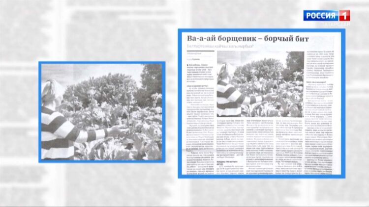 Татар матбугатына күзәтү