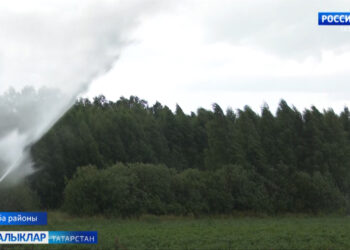 Мишәнең шифалы суы