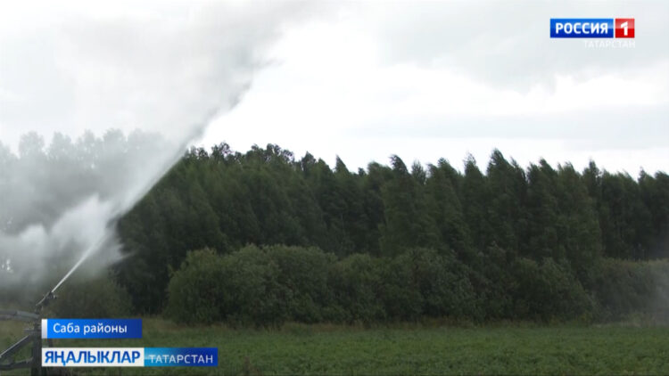 Мишәнең шифалы суы