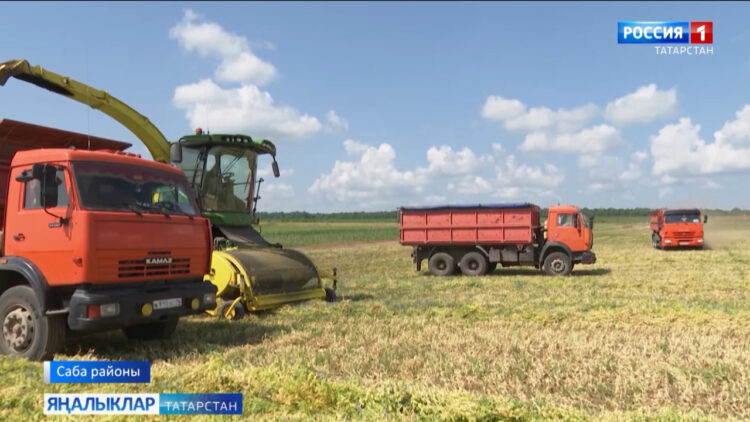 Кышлык ризык шулай туплана