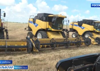 Сүрелми торган көрәш